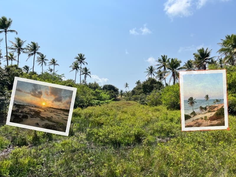 Buy Your Piece of Paradise